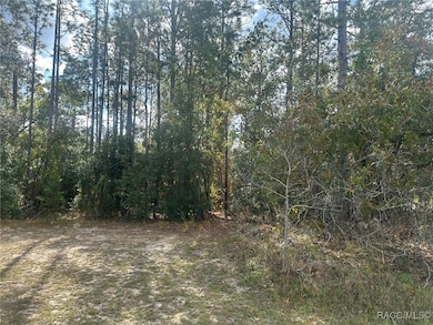 7779 N Cricket Dr, Citrus Springs, FL 34434 - photo 2