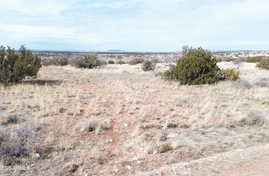 6297 Dewitt Dr, Winslow, AZ 86047 - photo 6