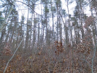 DSCN1186_2321