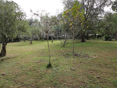 101 NW 3rd St, Gainesville, FL 32601 - photo 3
