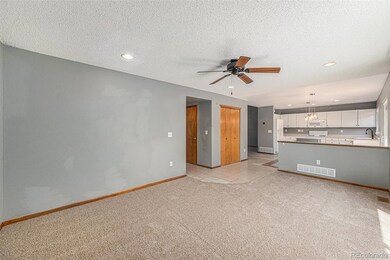 5616 S Himalaya Way, Centennial, CO 80015 - photo 5