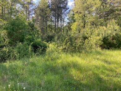 0 Keys Rd unit 1334840, Tunnel Hill, GA 30736 - photo 4