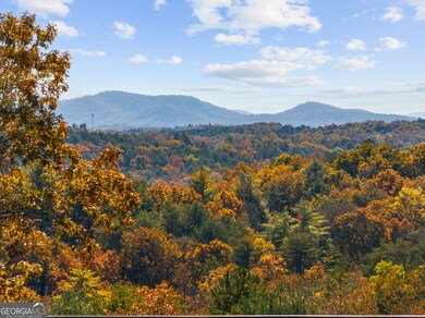 653 The Woods Rd, Mineral Bluff, GA 30559 - photo 2