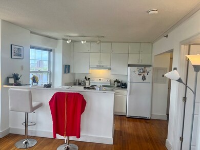 The Charlesview unit 1004, Boston, MA 02215 - photo 6