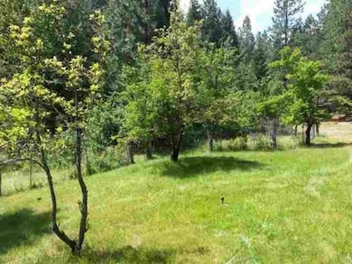 10015 Eliza Gulch Rd, Yreka, CA 96097 - photo 7