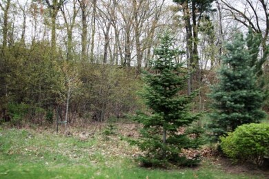 Lot8b
