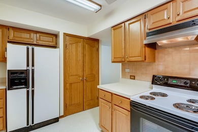 4 Hampton on Auburn, Rolling Meadows, IL 60008 - photo 4