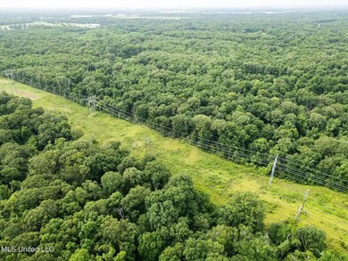 403 Mount Pleasant Rd, Zachary, LA 70791 - photo 3