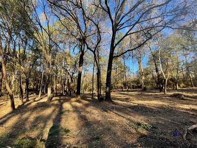 10014 Bentley Dr, Hockley, TX 77447 - photo 2