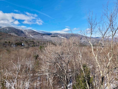 75 Maple Ridge Rd, Fayston, VT 05673 - photo 3