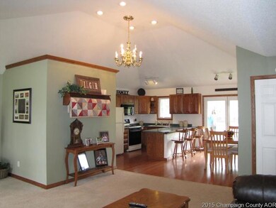 201 E Main St, Camargo, IL 61919 - photo 4