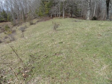 000 Possum Trot Rd, Burnsville, NC 28714 - photo 3