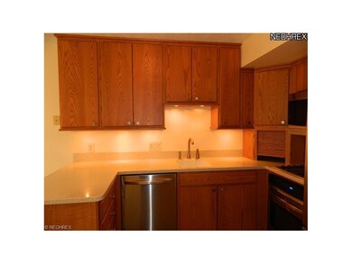 Undercabinet lighting compliments this completely 