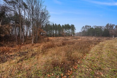 8190 Scots Pine Cir unit 12, Kalamazoo, MI 49009 - photo 5