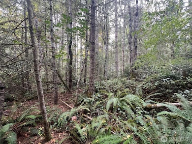 2 XX View Dr NE, Poulsbo, WA 98370 - photo 4