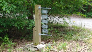 0 Milltown Rd unit 1720894, Lewisburg, TN 37091 - photo 3