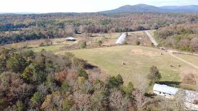 1525 Whitetown Rd, Oden, AR 71961 - photo 7