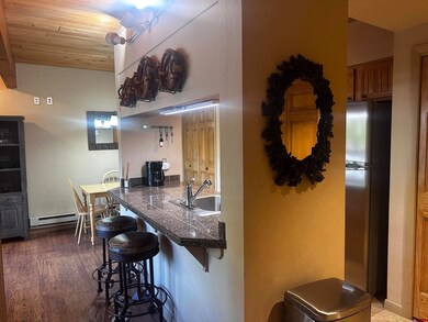 400 Gothic Rd unit 103, Crested Butte, CO 81225 - photo 5