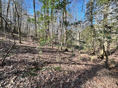 LT 3764R Eagle Mountain Dr, Ellijay, GA 30540 - photo 4