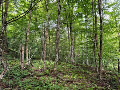 1.3 Farr Rd unit 3, Ohio, NY 13324 - photo 7