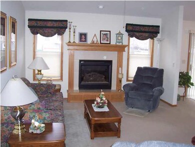 Living Room. Gas fireplace