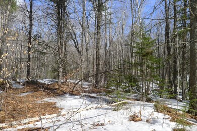0 Tamarack Trail unit 1409037, Camden, ME 04843 - photo 4