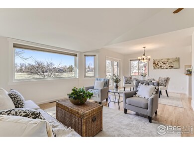 7720 Manila Place, Niwot, CO 80503 - photo 7