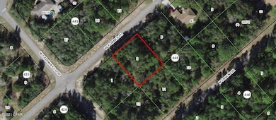 2702 W Forbes Place, Citrus Springs, FL 34434 - photo 3