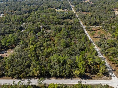 0 Norway St unit 2256792, Webster, FL 33597 - photo 2