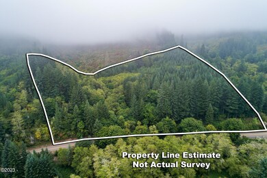 Drone View