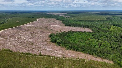 Old CC Road SC Land for Sale-07