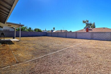 Huge Back Yard