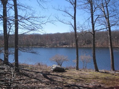 Lot 297 Mockingbird Ct, Lehman Township, PA 18324 - photo 4