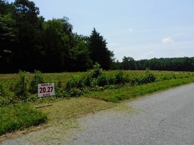 20.27 AC Lloyds Mill Rd, Clover, VA 24534 - photo 4