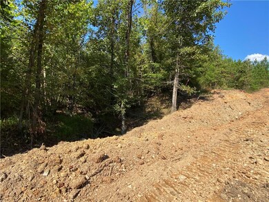 96 Limp Limb Ct, Broken Bow, OK 74728 - photo 5