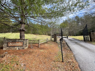 300 Sequoyah View Trail, Franklin, NC 28734 - photo 3