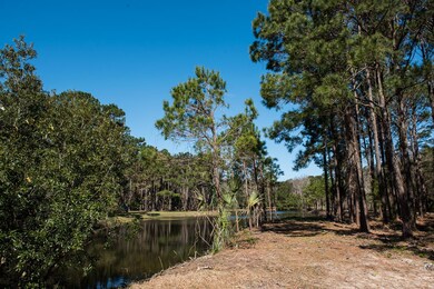 Longmarsh-4