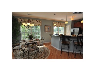 719 Aqua Marine Blvd unit 719, Avon Lake, OH 44012 - photo 7