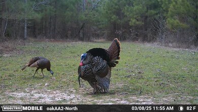 0 County Road 4210, Sallis, MS 39160 - photo 5