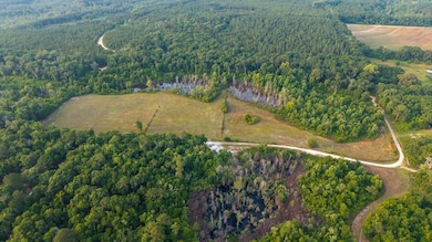 0 Alred Rd unit LotWP001 24166422, Westville, FL 32464 - photo 3