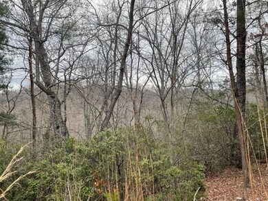 00 Sanderling Ct unit 325, Lake Lure, NC 28746 - photo 7