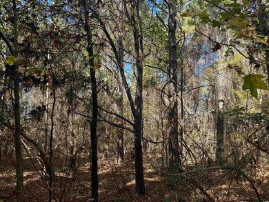 793 Puncheon Creek Dr, Andrews, SC 29510 - photo 4