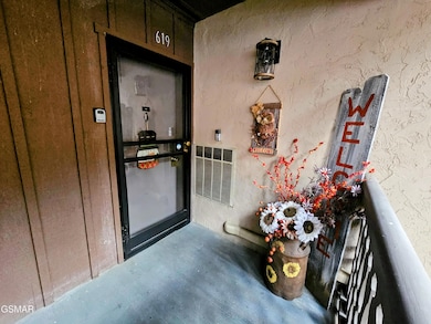 1235 Ski Mountain Rd unit 619, Gatlinburg, TN 37738 - photo 4