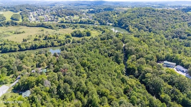 1761 Rays Gap Rd, Seymour, TN 37865 - photo 6