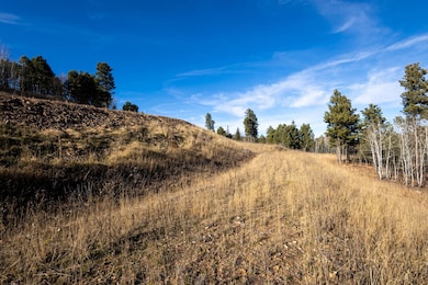 Lot 44 Golden Hills, Sturgis, SD 57785 - photo 4