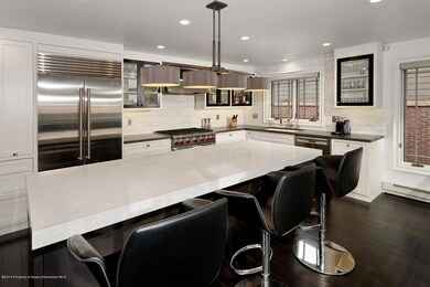 715 E Hopkins Ave Aspen CO-large-008-715