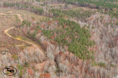 0 Steele Rd, Jasper, AL 35503 - photo 5