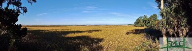 Broad Marsh View