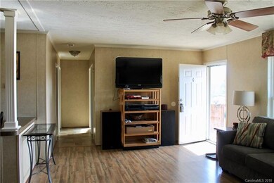 60 Green Acres Dr, Leicester, NC 28748 - photo 3