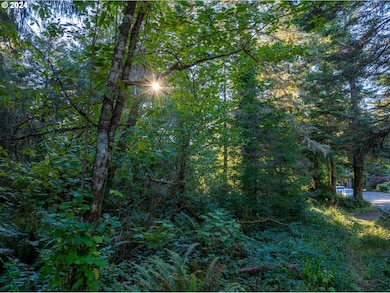 0 9th St NE unit 7-10 24484508, Bandon, OR 97411 - photo 7